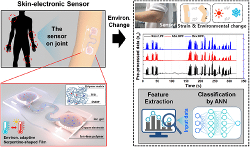 Machine Learning-Enabled Environmentally Adaptable Skin-Electronic Sensor for Human Gesture Recognition