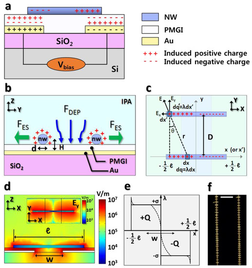 Manipulation and Investigation of Uniformly-Spaced Nanowire Array on a Substrate via Dielectrophoresis and Electrostatic Interaction