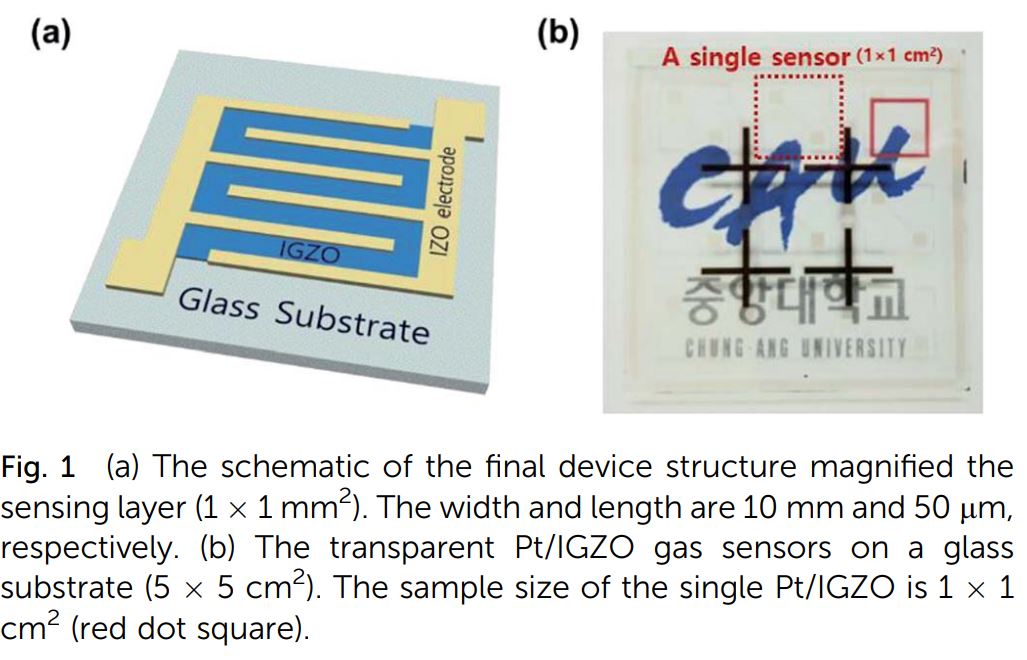 Nano Pt-decorated Transparent Solution-processed Oxide Semiconductor Sensor with ppm Detection Capability